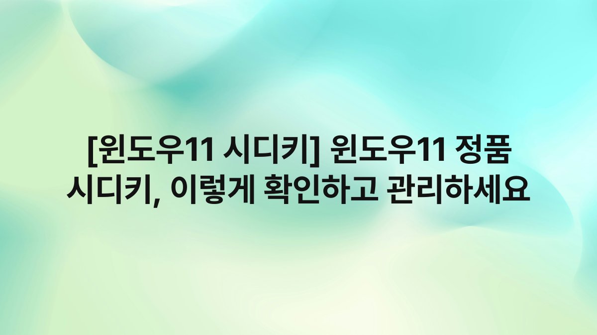 [윈도우11 시디키] 윈도우11 정품 시디키, 이렇게 확인하고 관리하세요