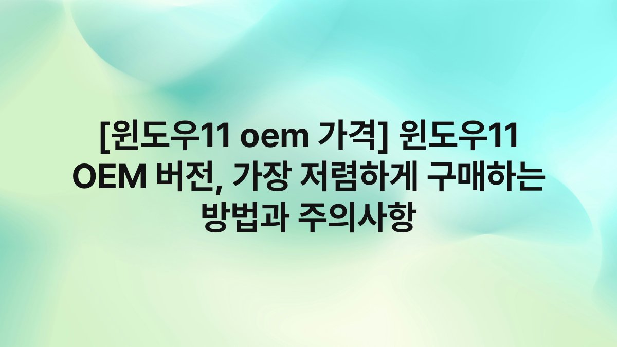 [윈도우11 oem 가격] 윈도우11 OEM 버전, 가장 저렴하게 구매하는 방법과 주의사항