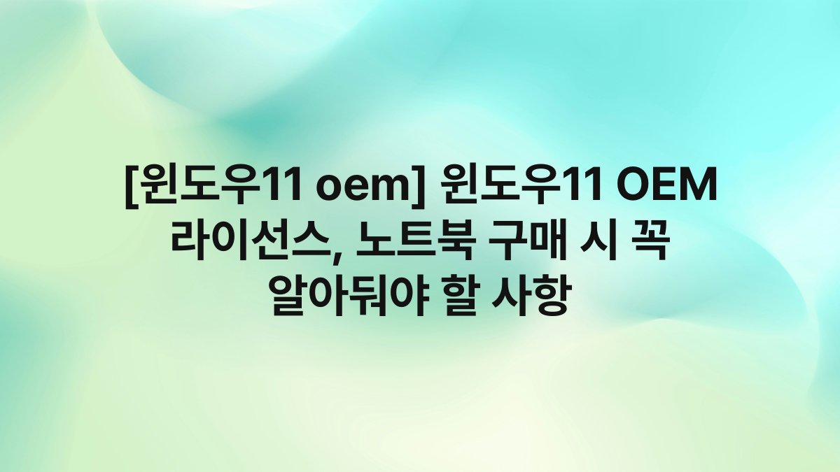 [윈도우11 oem] 윈도우11 OEM 라이선스, 노트북 구매 시 꼭 알아둬야 할 사항